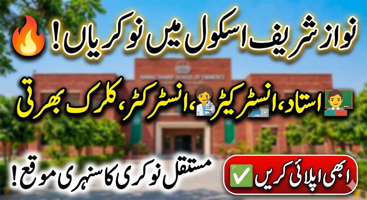 Nawaz Sharif School of Eminence Jobs 2026